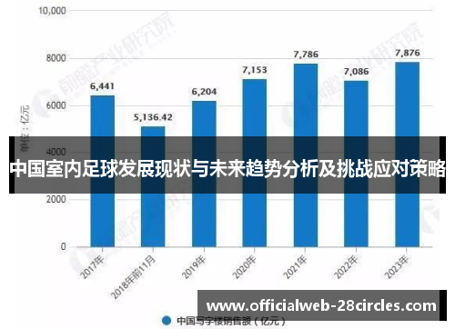 中国室内足球发展现状与未来趋势分析及挑战应对策略